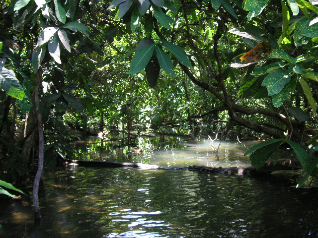 PICT0187.JPG