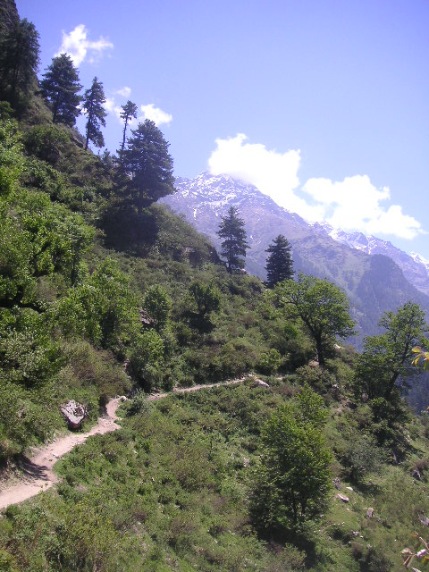 PICT0506.JPG