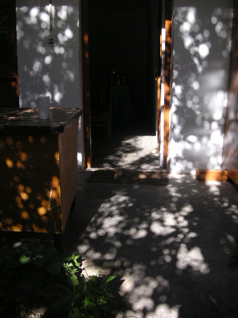 PICT0544.JPG